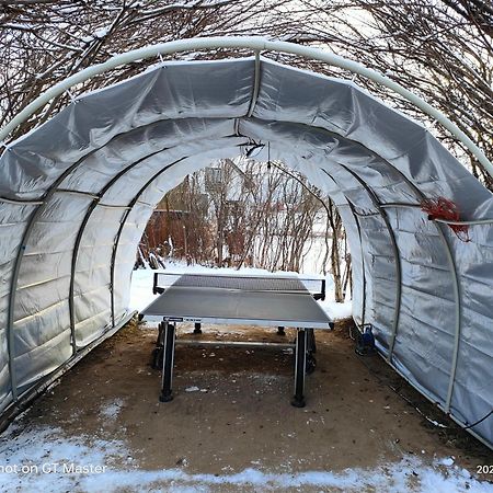 Apartament Forest 마이스타코비체 외부 사진